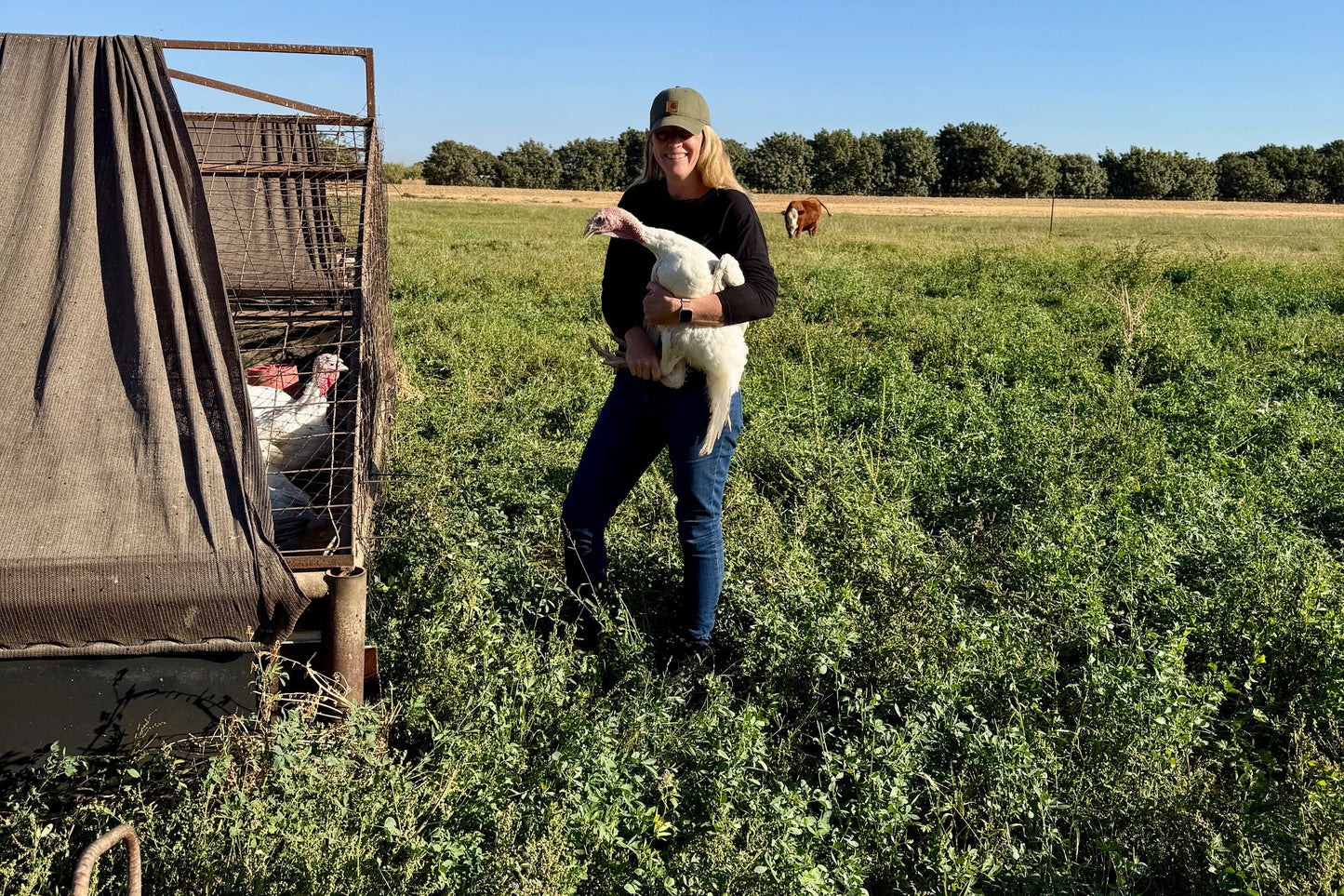 Woman holding a turkey in a grassy field with a clear blue sky