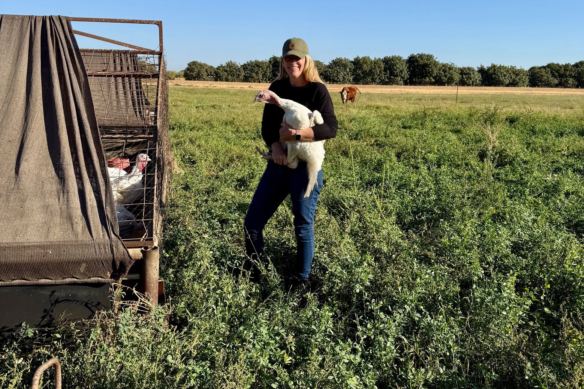 Woman holding a turkey in a grassy field with a clear blue sky