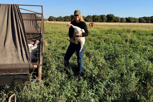 Woman holding a turkey in a grassy field with a clear blue sky